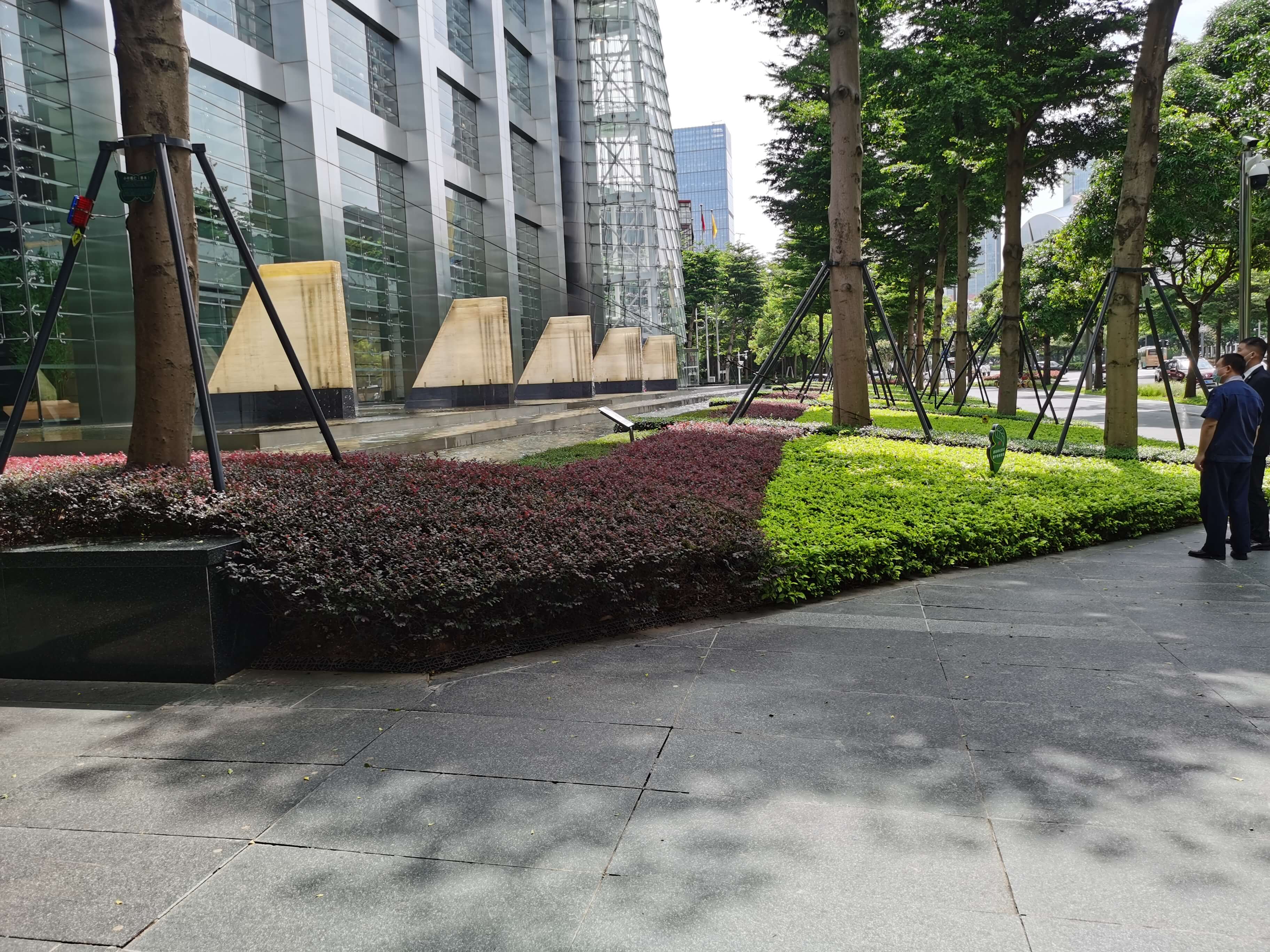 綠化維護(hù)