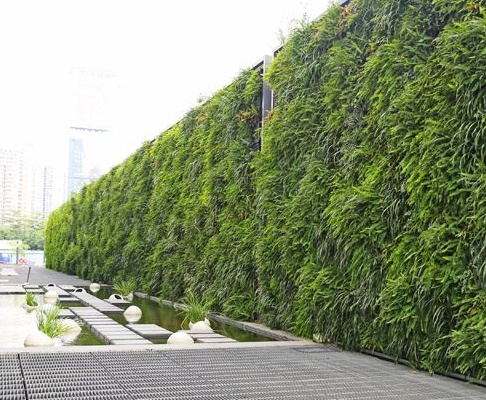 佛山綠化養護 植物墻
