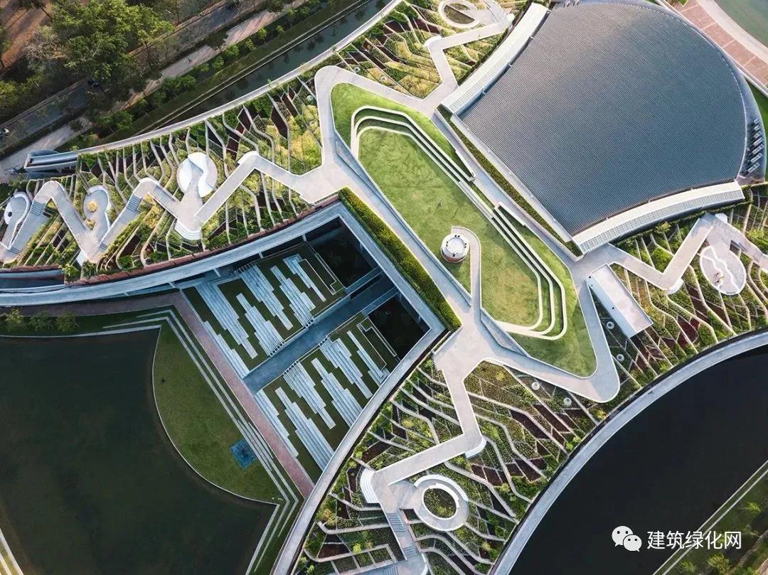 房頂農(nóng)場，深圳園林綠化公司