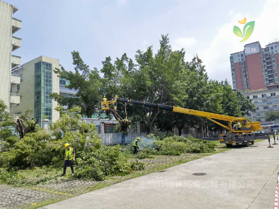 綠化工程，園林綠化公司