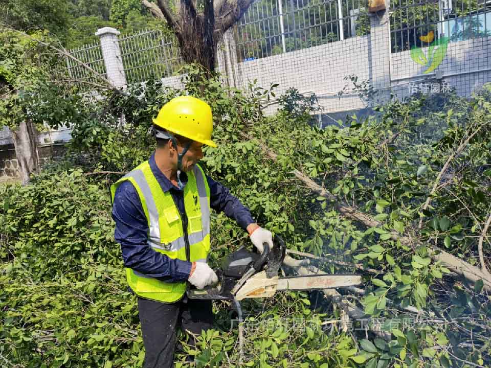 綠化工程，園林綠化公司