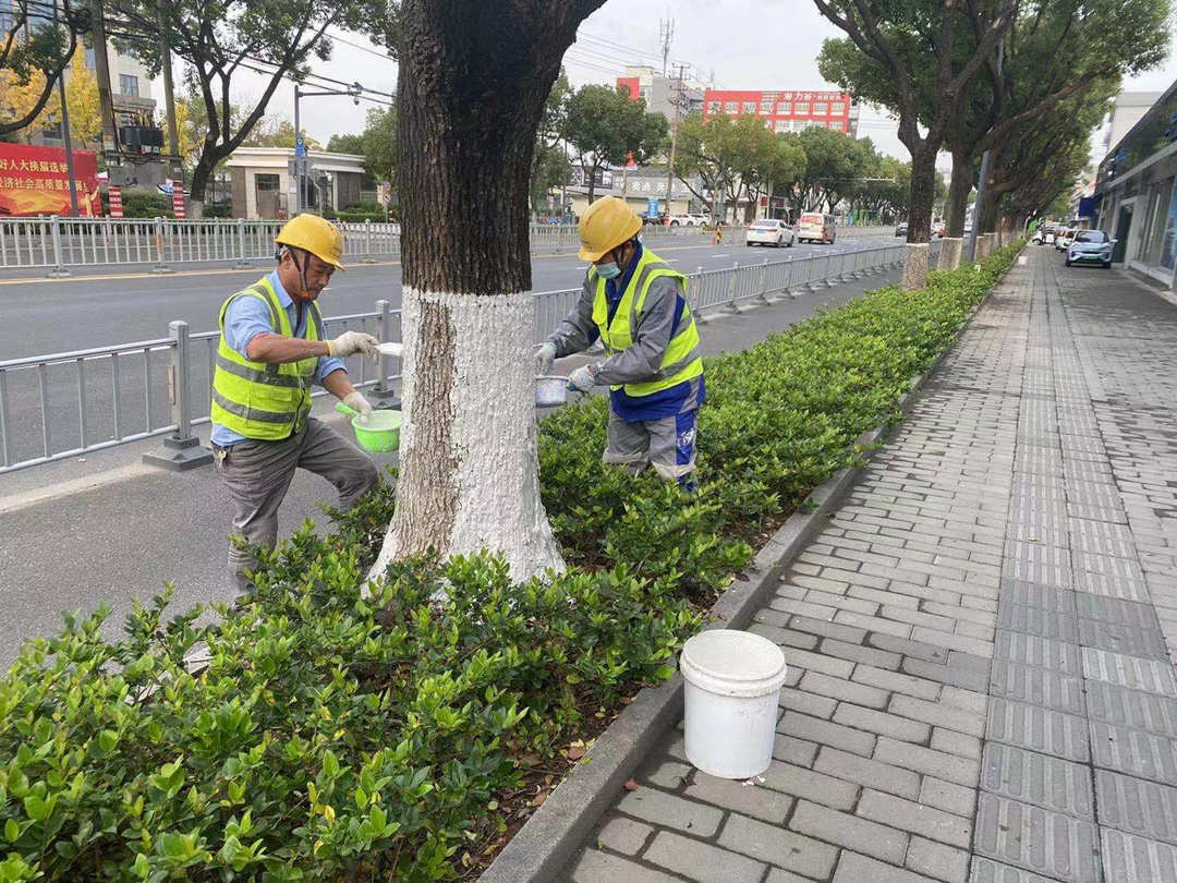 園林綠化公司