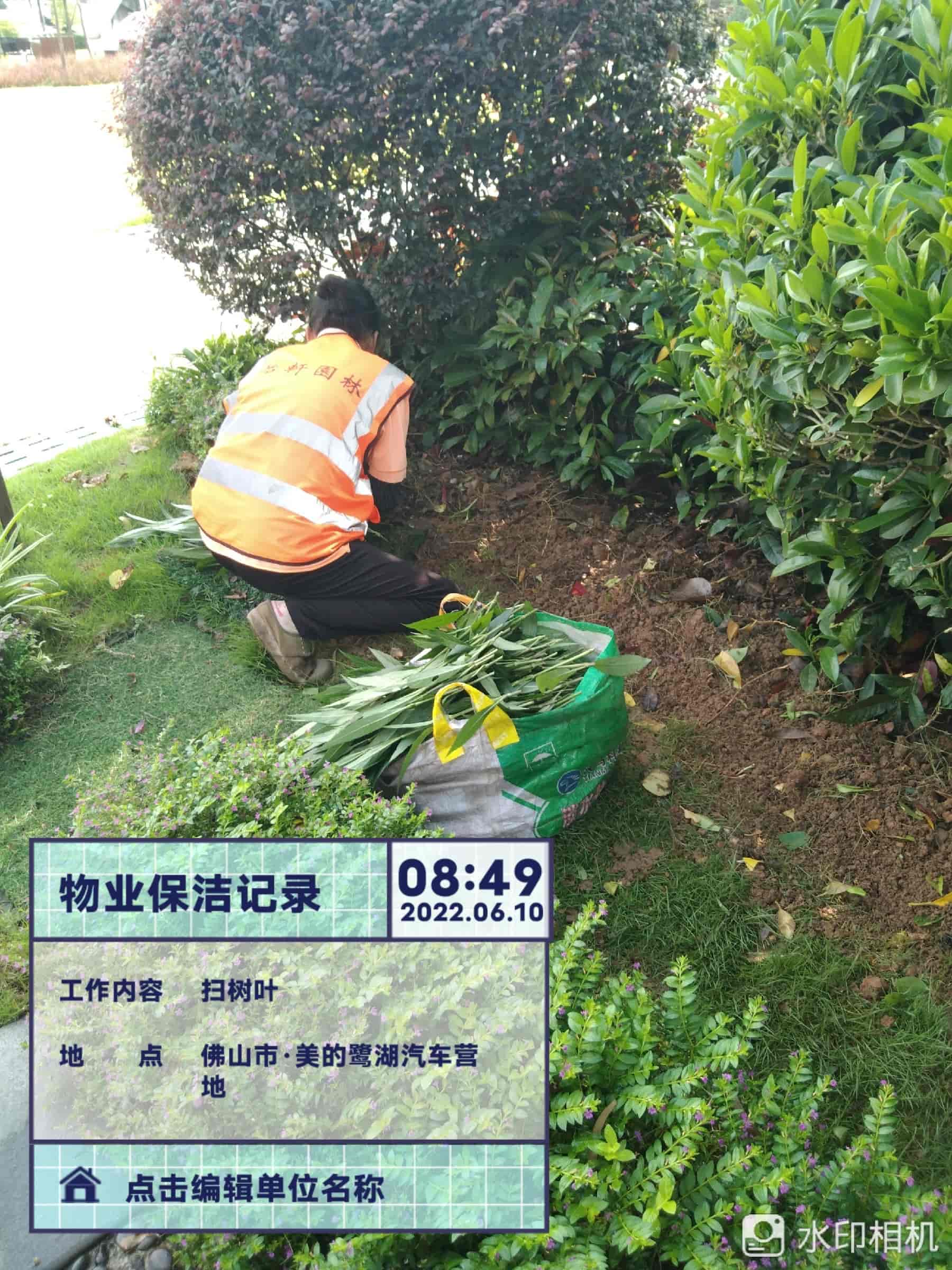 園林綠化公司,植物