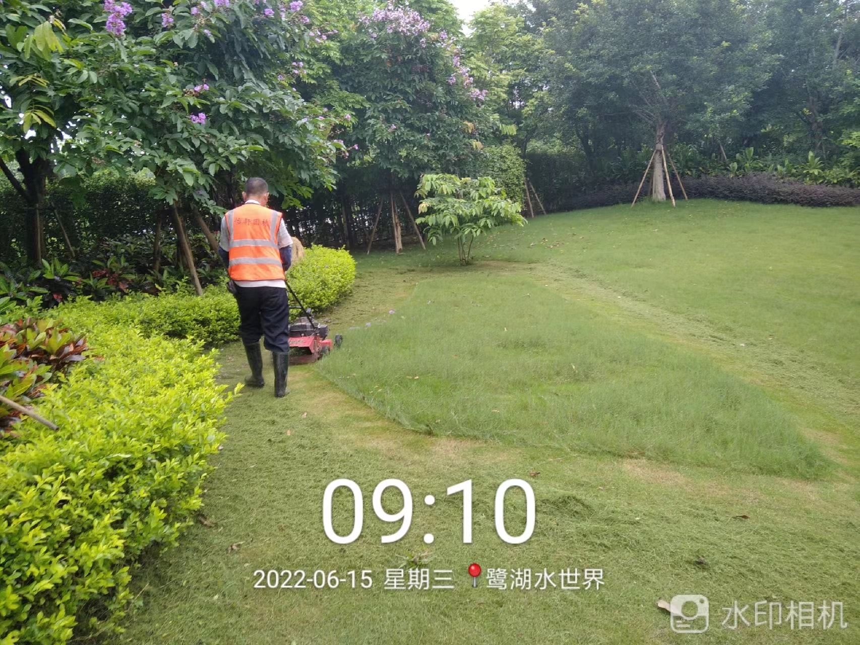 園林綠化公司