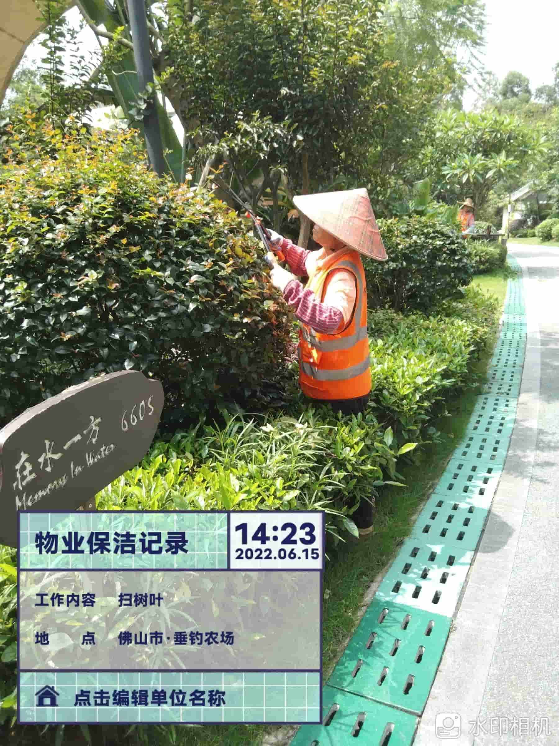 綠化養護,美的露湖 綠化養護,美的露湖