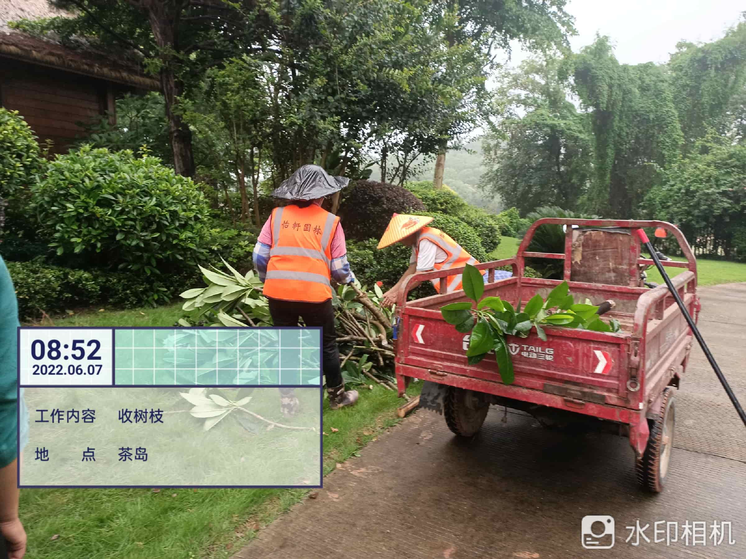 園林綠化公司