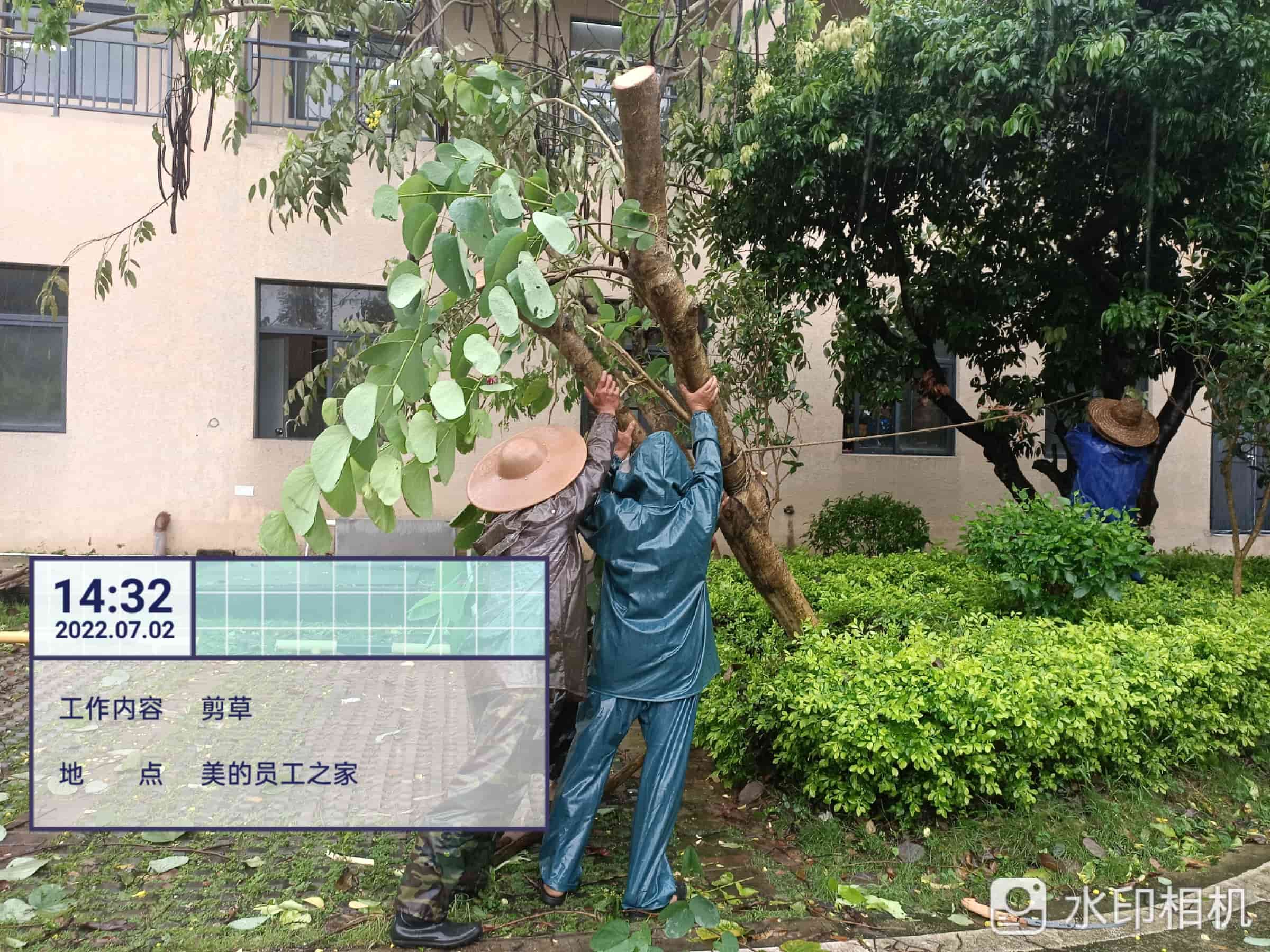 綠化養護
