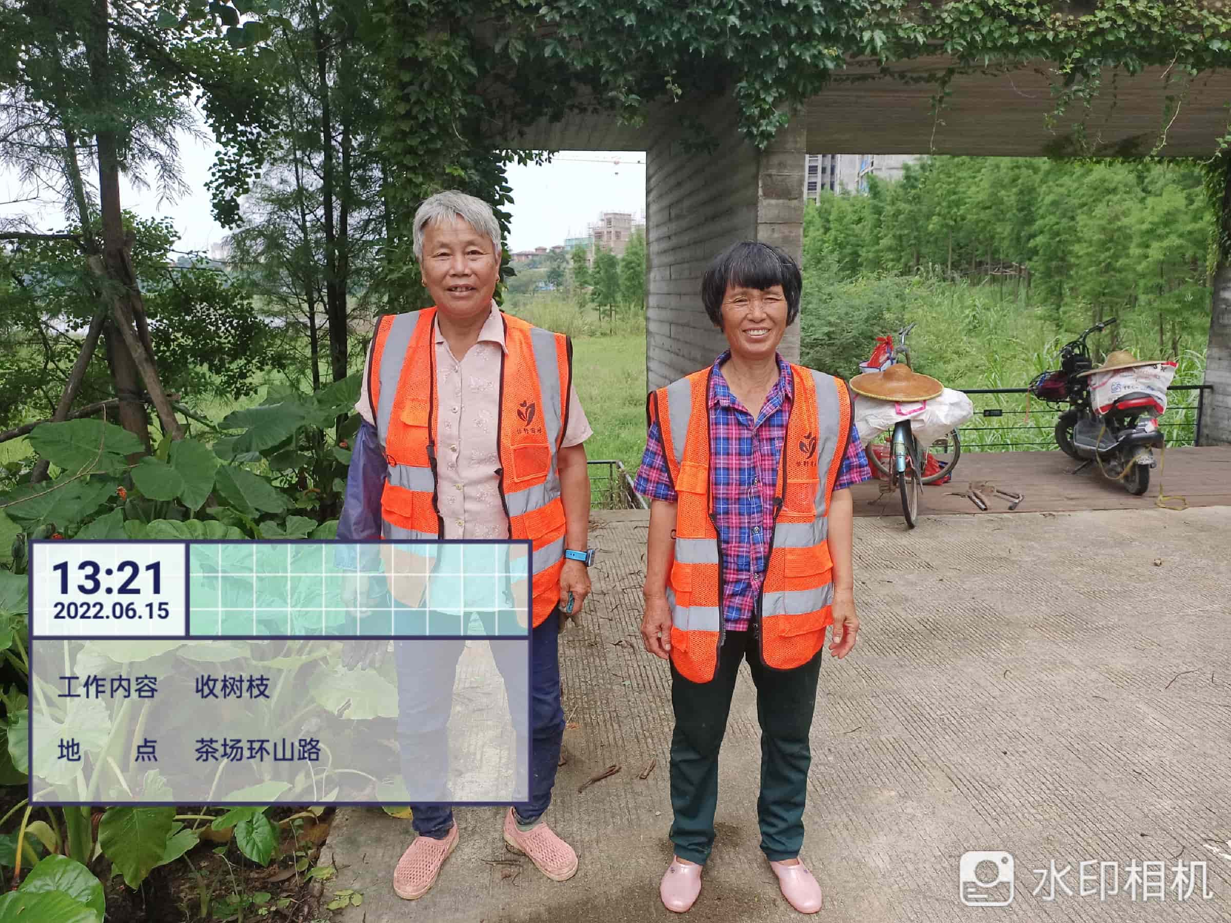 綠化養護