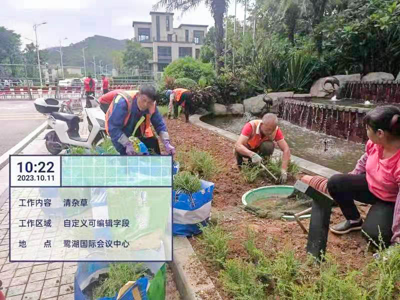 綠化工程